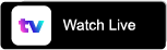 TVE Web badge